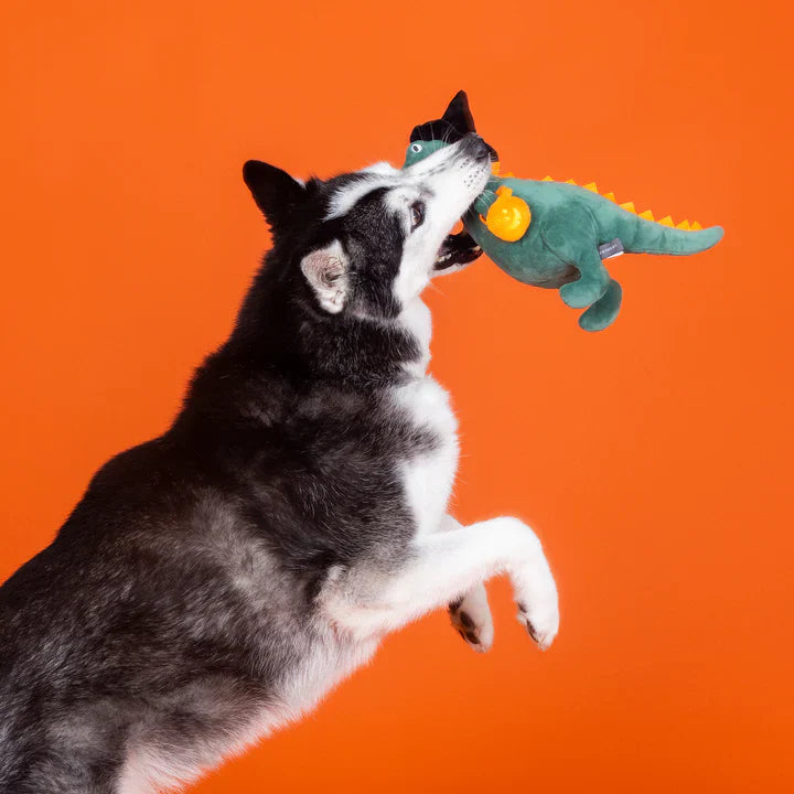Fringe Dog Toy Halloween Candy Rex