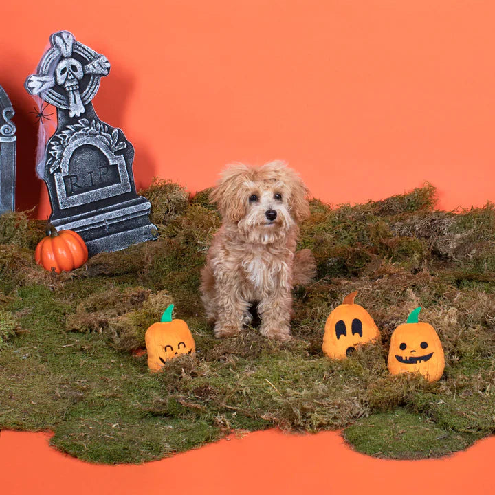 Fringe Dog Toy Halloween Jack-O-Lanterns