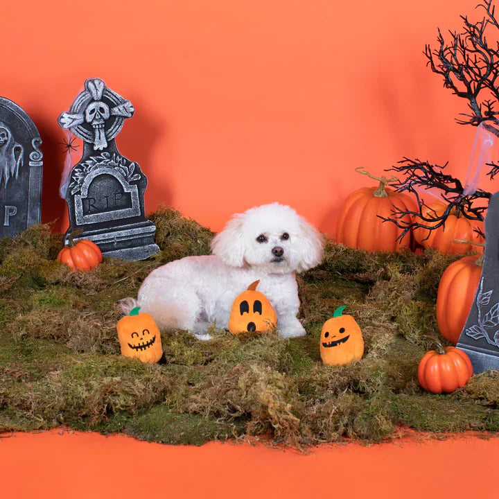 Fringe Dog Toy Halloween Jack-O-Lanterns