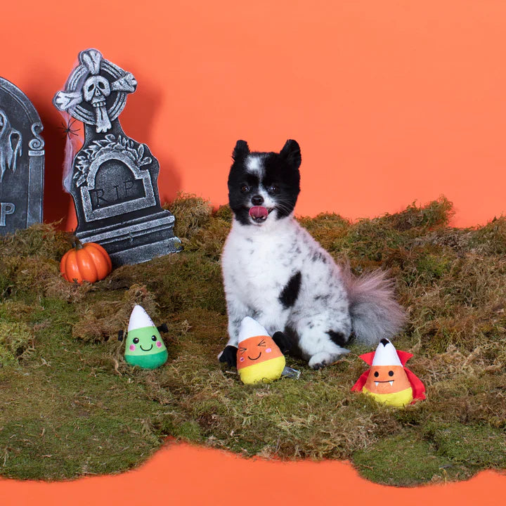 Fringe Dog Toy Halloween Candy Corns