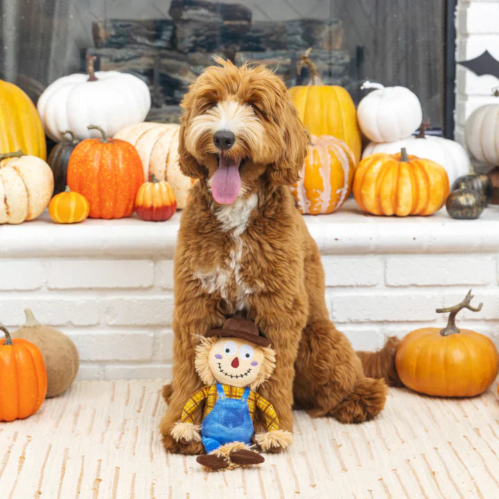 Fringe Dog Toy Halloween On My Last Straw