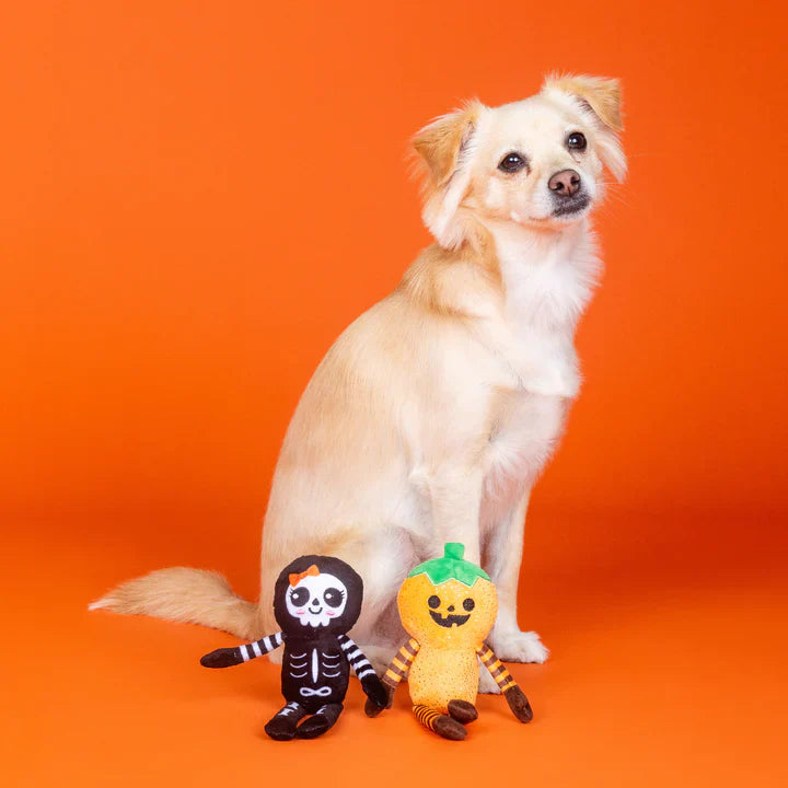 Fringe Dog Toy Halloween Oh My Gourd