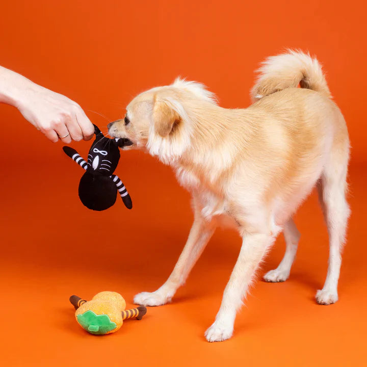 Fringe Dog Toy Halloween Oh My Gourd