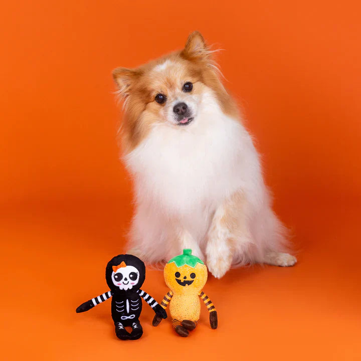 Fringe Dog Toy Halloween Oh My Gourd