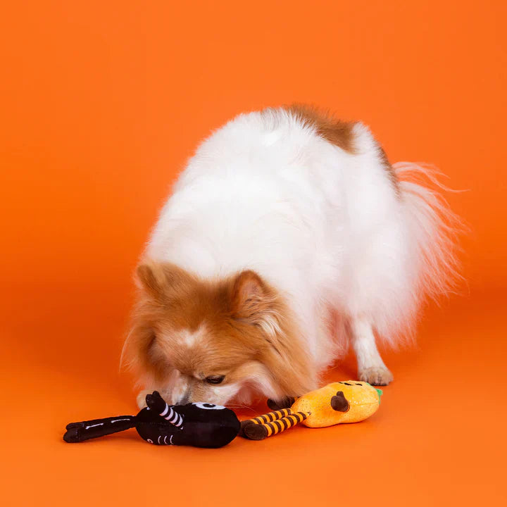 Fringe Dog Toy Halloween Oh My Gourd
