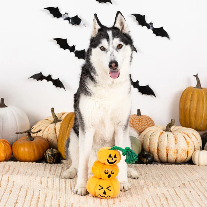 Fringe Dog Toy Halloween Stack-O-Lantern