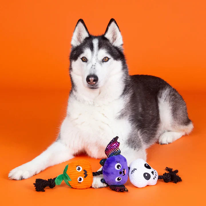 Fringe Dog Toy Halloween Literally Dead Cute