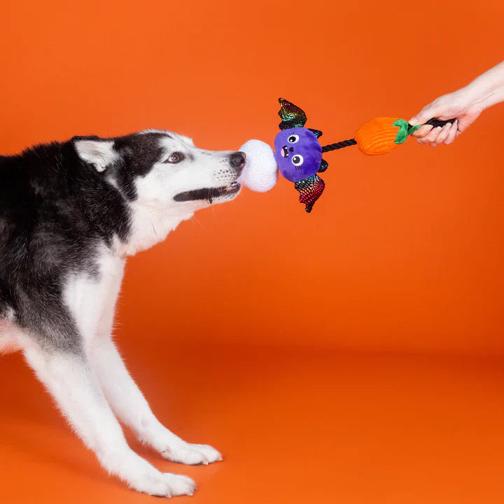 Fringe Dog Toy Halloween Literally Dead Cute