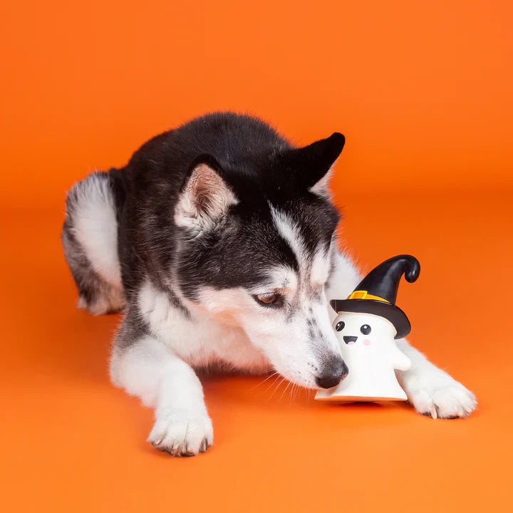 Fringe Dog Toy Halloween One Wicked Ghost