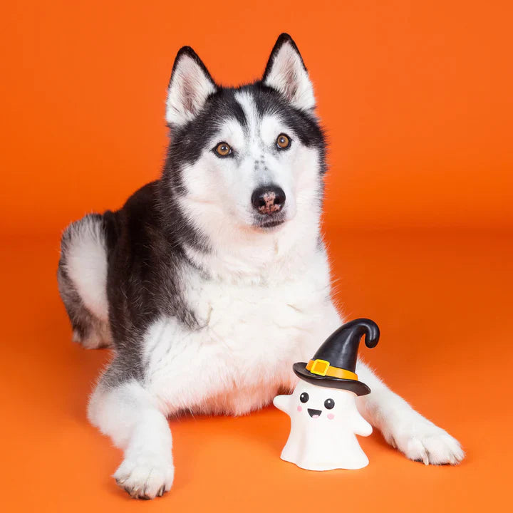 Fringe Dog Toy Halloween One Wicked Ghost