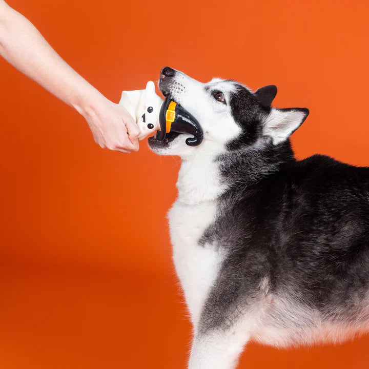 Fringe Dog Toy Halloween One Wicked Ghost