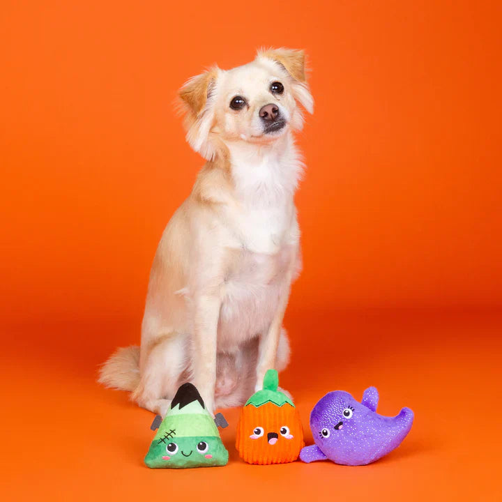 Fringe Dog Toy Halloween Spooky Squad