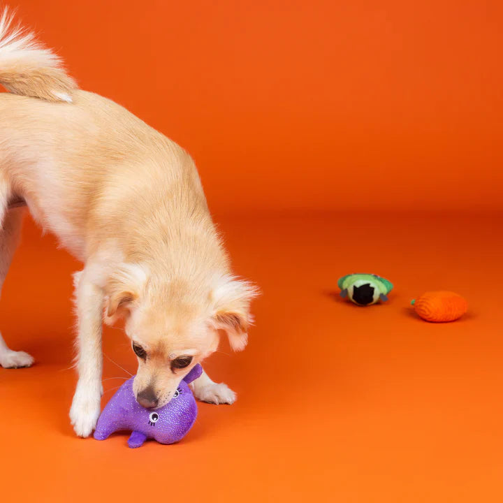 Fringe Dog Toy Halloween Spooky Squad