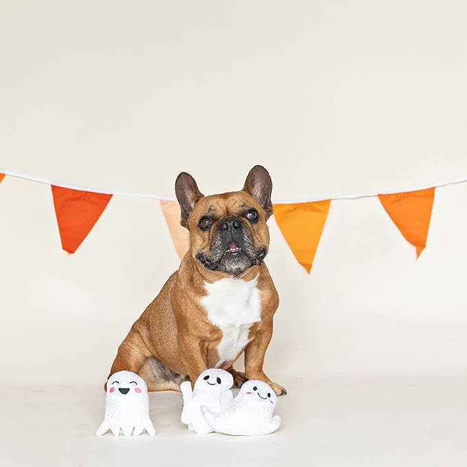Fringe Dog Toy Halloween Hey Boo!