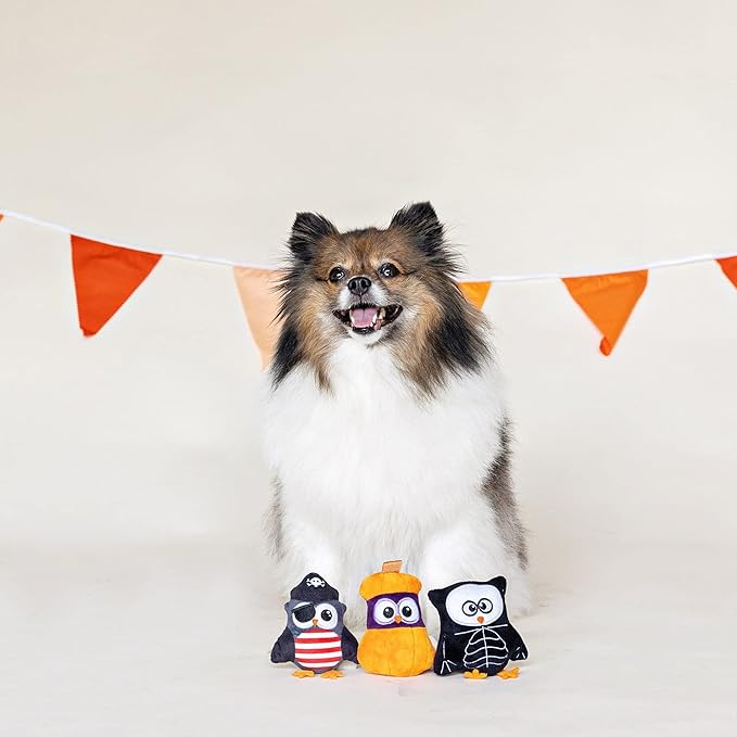 Fringe Dog Toy Halloween Owl-O-Ween