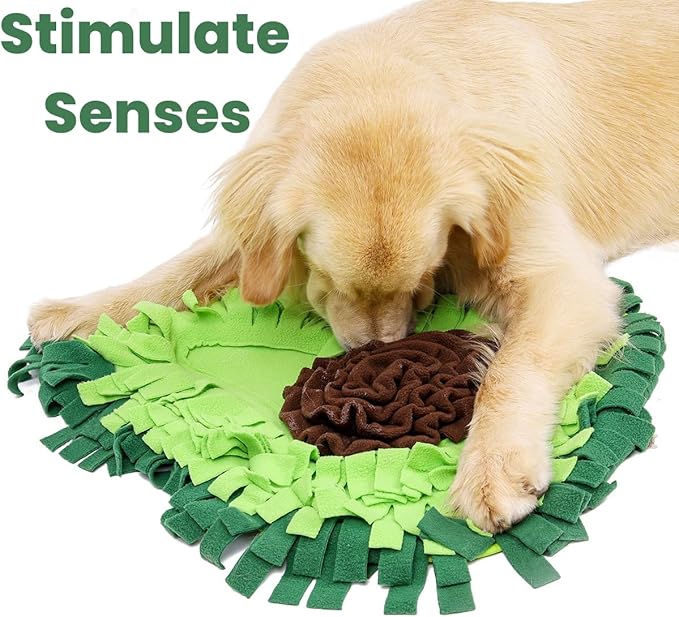 Injoya Avocado Snuffle Mat