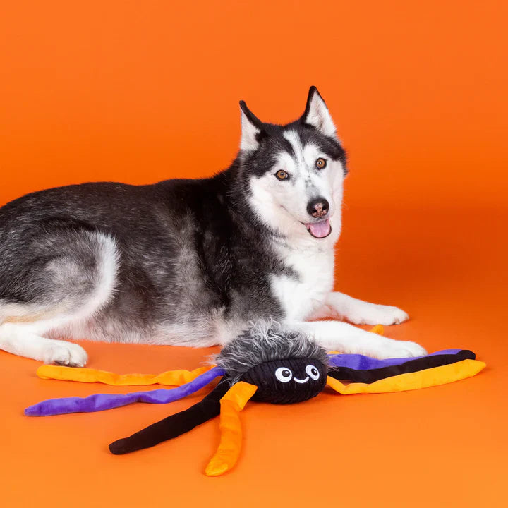 Fringe Dog Toy Halloween Trappin Flies