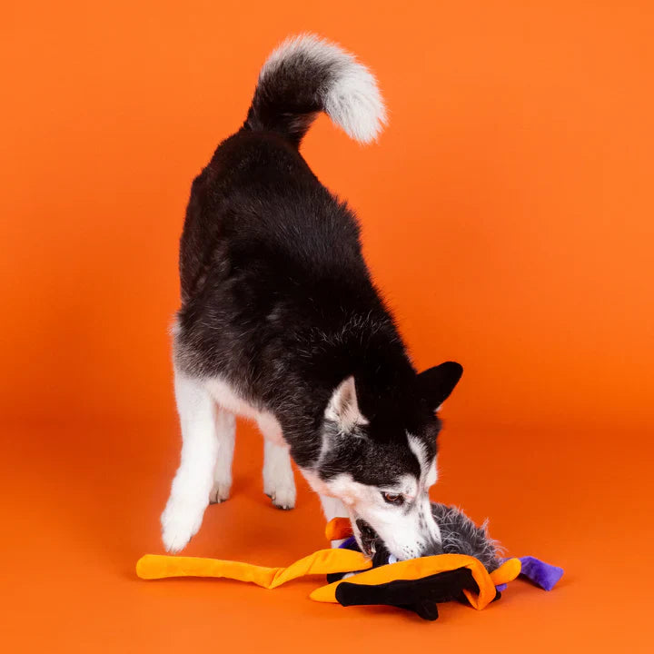 Fringe Dog Toy Halloween Trappin Flies