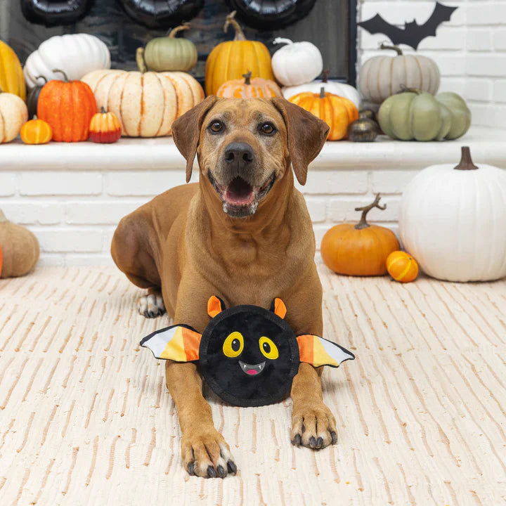 Fringe Dog Toy Halloween Bat's The Way It Is