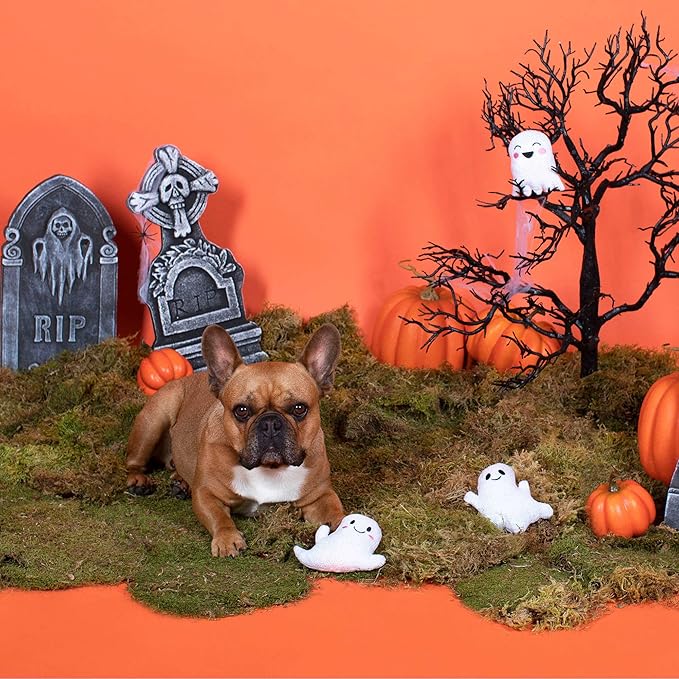 Fringe Dog Toy Halloween Hey Boo!