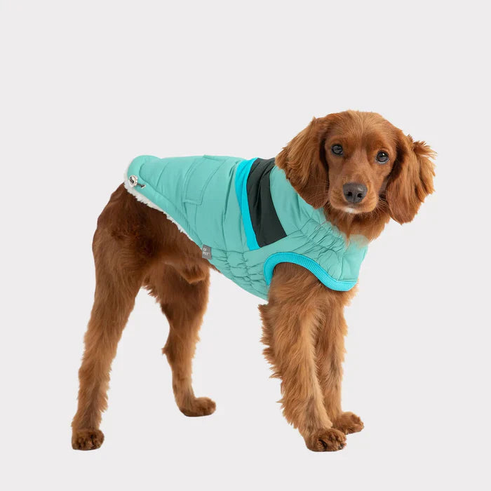 GF Pet Alpine Puffer Jacket