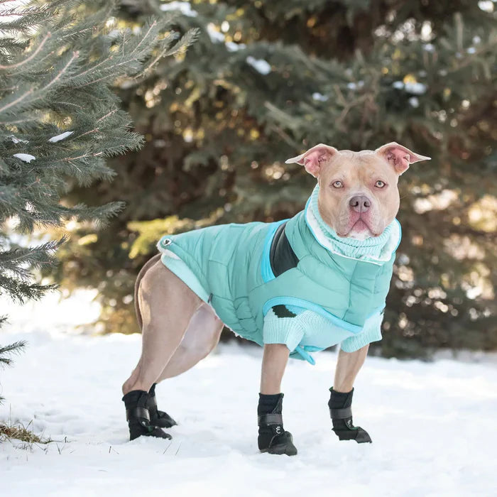 GF Pet Alpine Puffer Jacket
