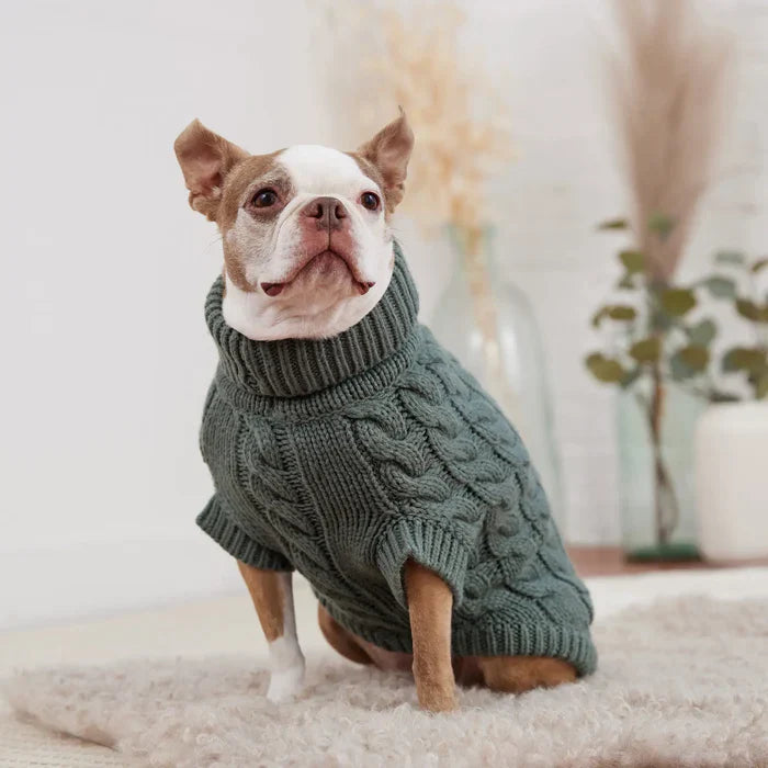 GF Pet Chalet Sweater