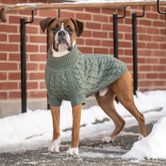 GF Pet Chalet Sweater