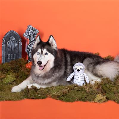Fringe Dog Toy Halloween Mummy Sloth