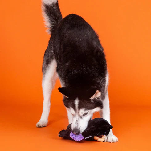 Fringe Dog Toy Halloween It Be Like Bat