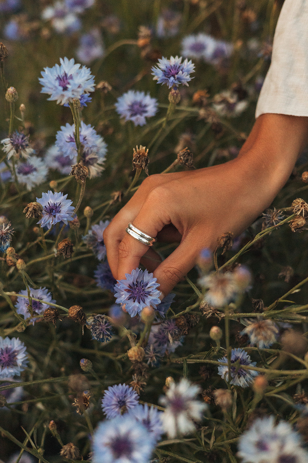 Zaima ring