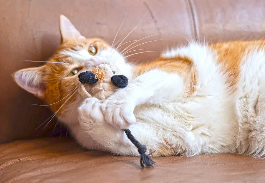 PLAY Cat Toy Feline Frenzy Halloween Menacing Mice