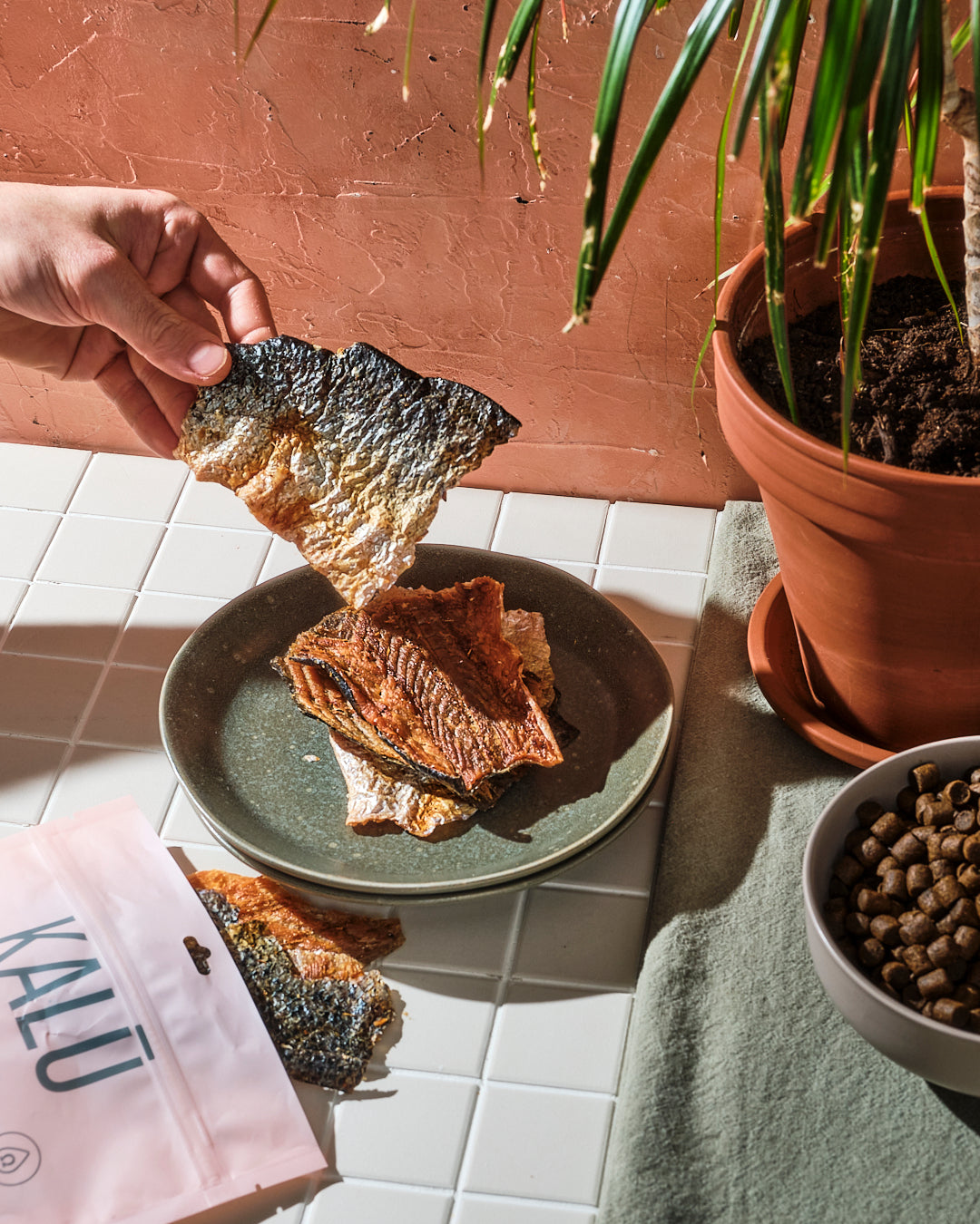 Kalu Dog Treats Dehydrated Salmon Skins