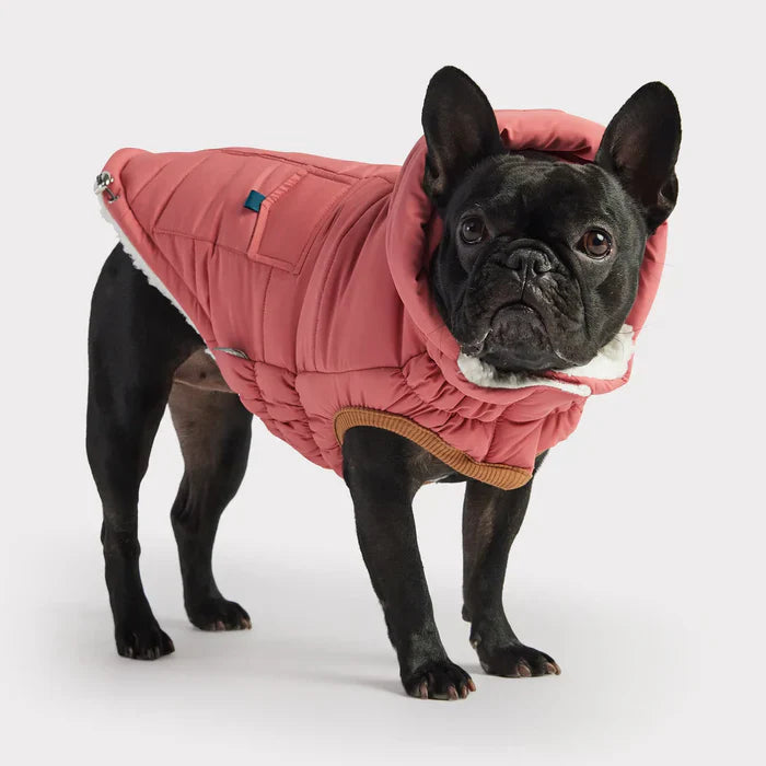 GF Pet Puff Dog Parka