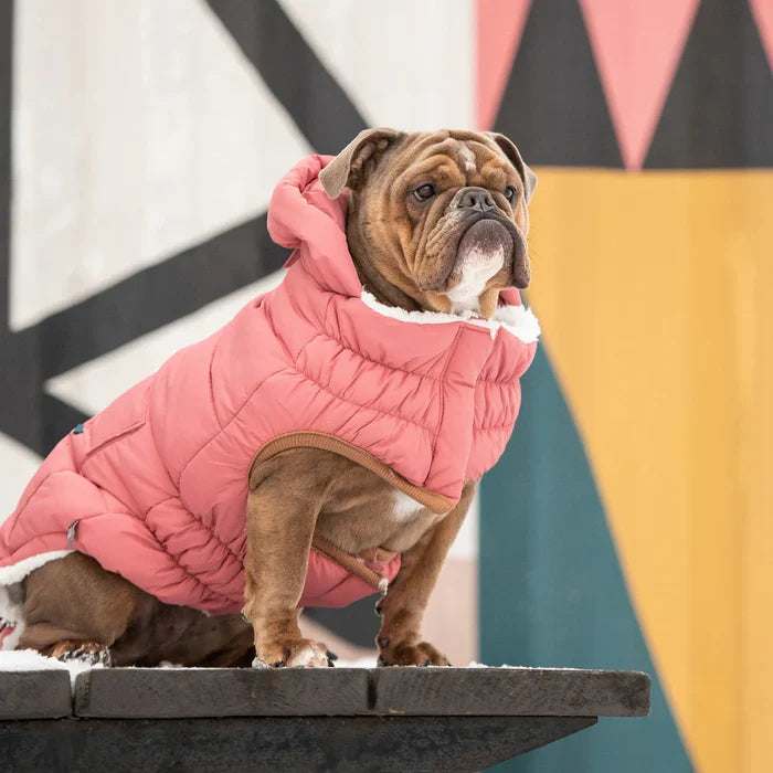 GF Pet Puff Dog Parka
