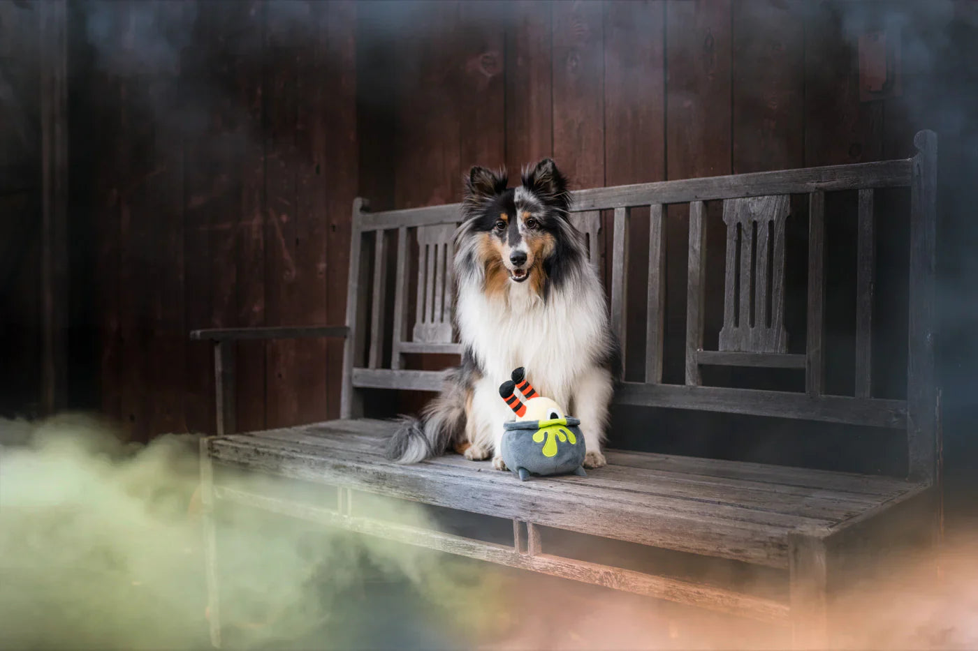 PLAY Dog Toy Halloween Howling Haunts Pups Potion
