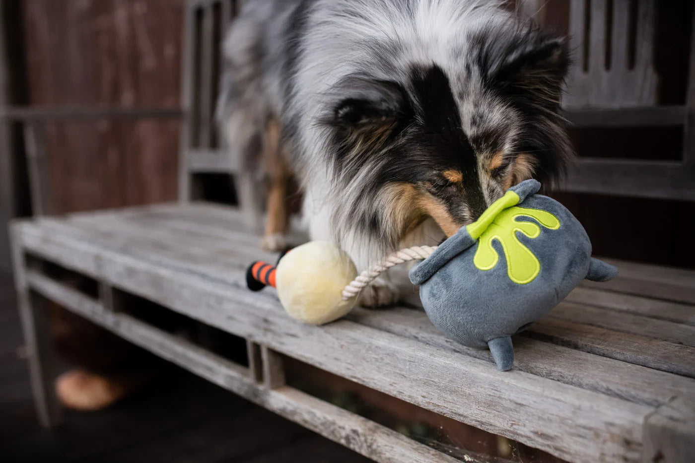 PLAY Dog Toy Halloween Howling Haunts Pups Potion