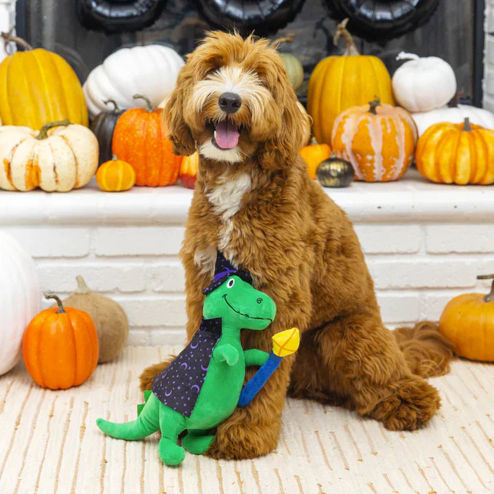 Fringe Dog Toy Halloween Rex Spell-A-Sauraus