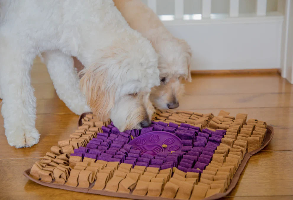 Injoya PB&J Snuffle Mat