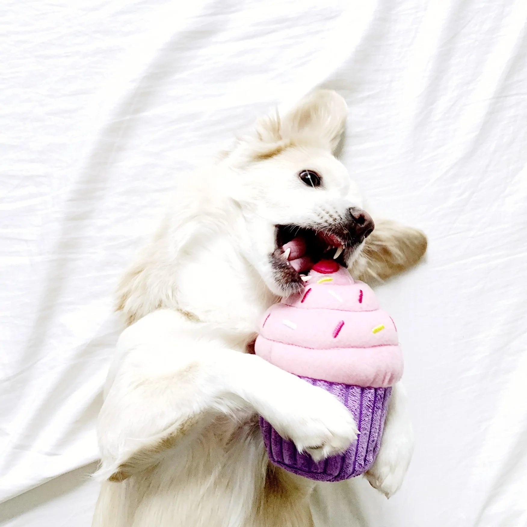 ZippyPaws Dog Toy Cupcake