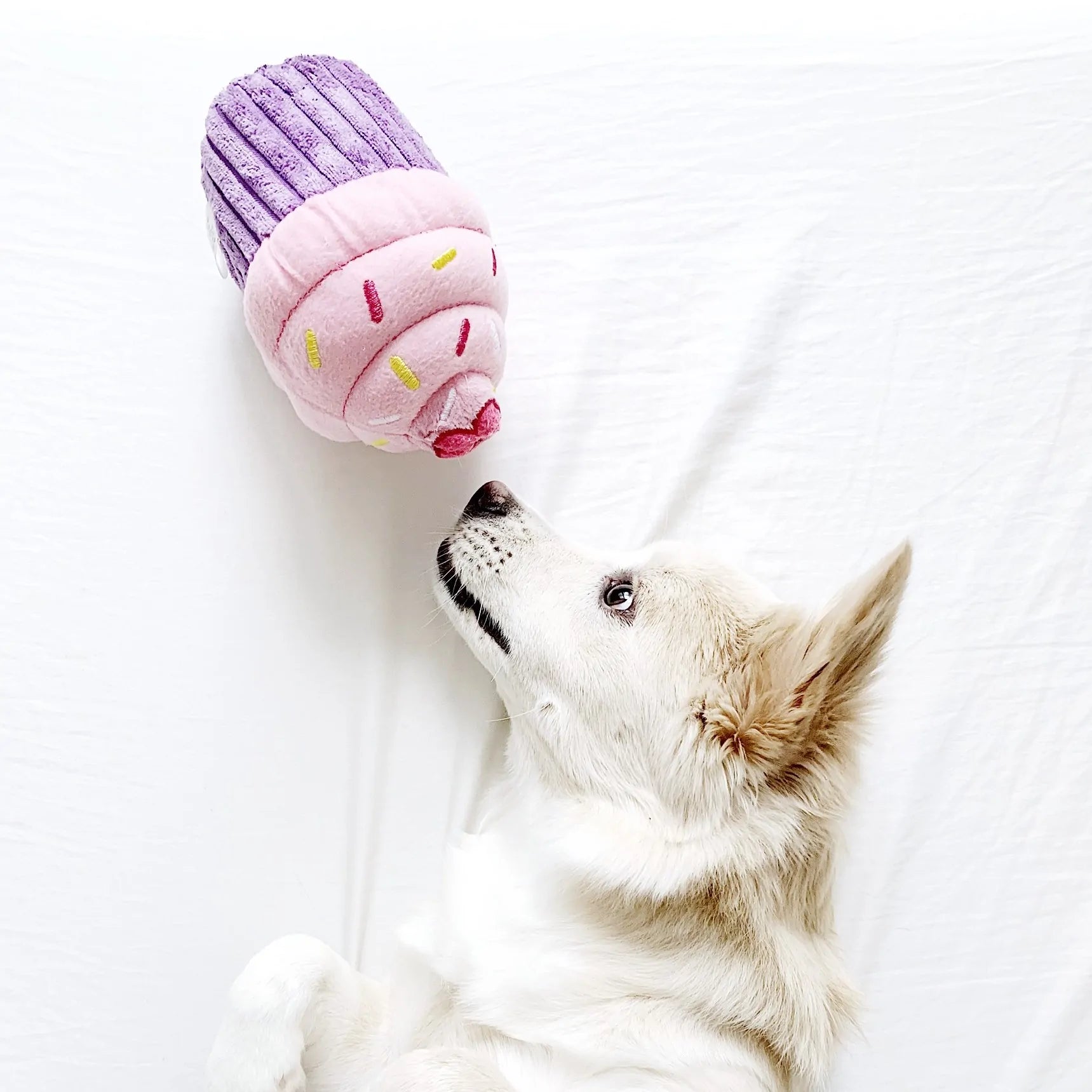ZippyPaws Dog Toy Cupcake
