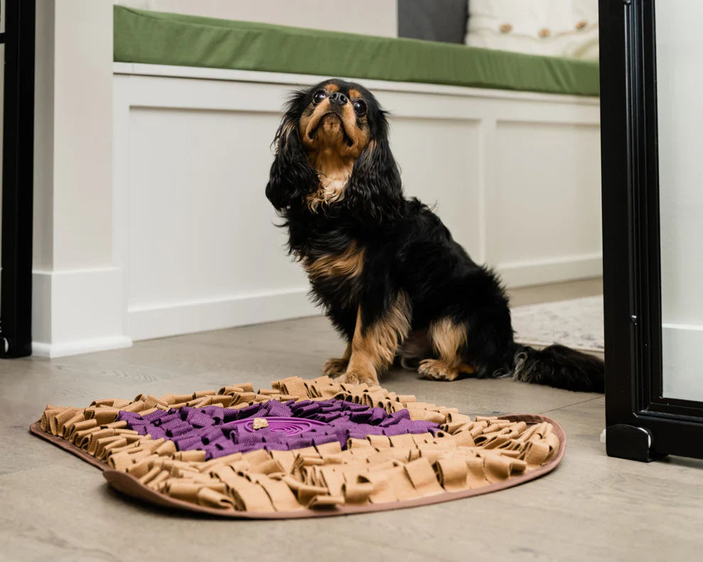Injoya PB&J Snuffle Mat