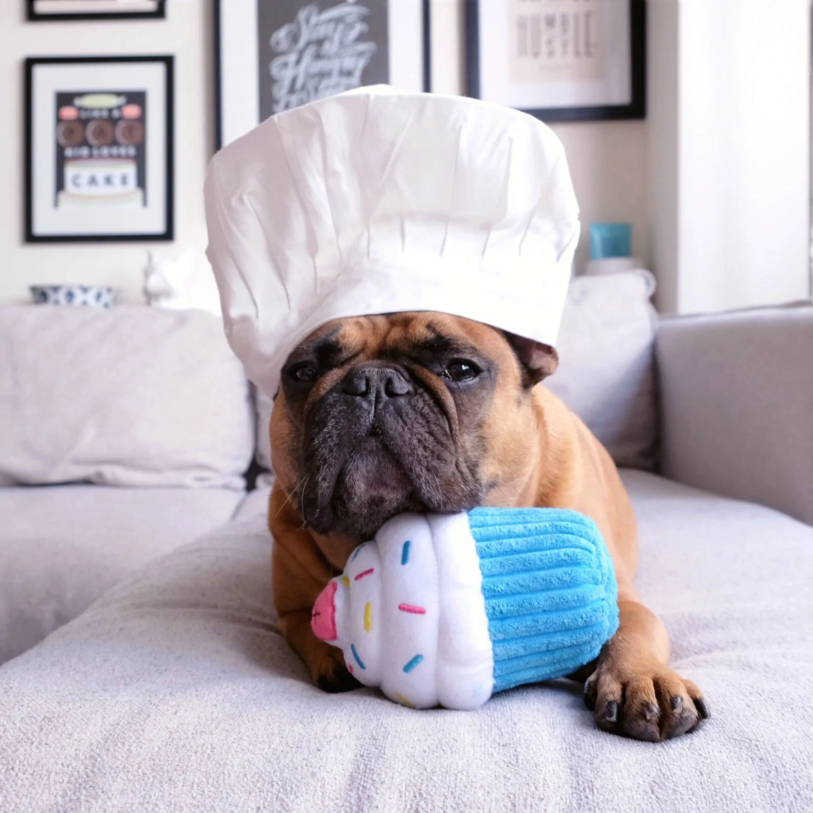 ZippyPaws Dog Toy Cupcake
