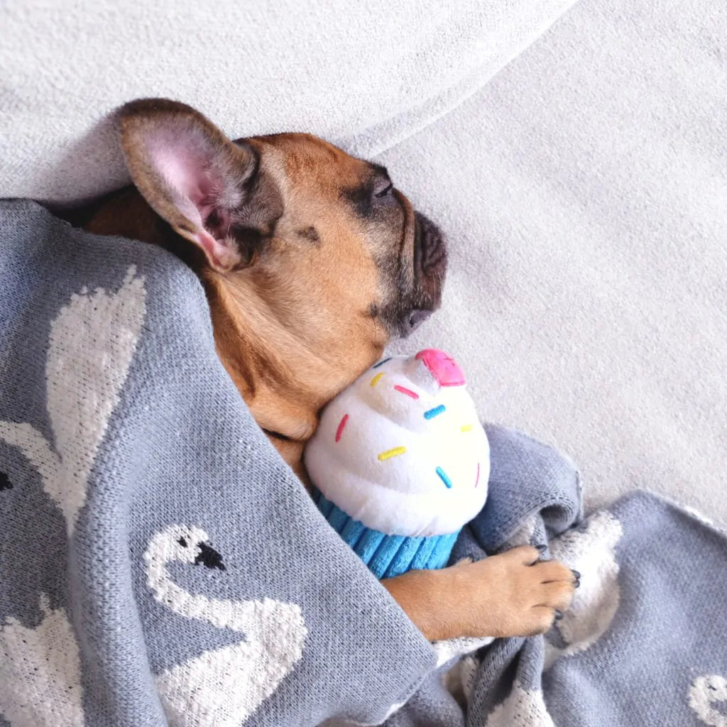ZippyPaws Dog Toy Cupcake