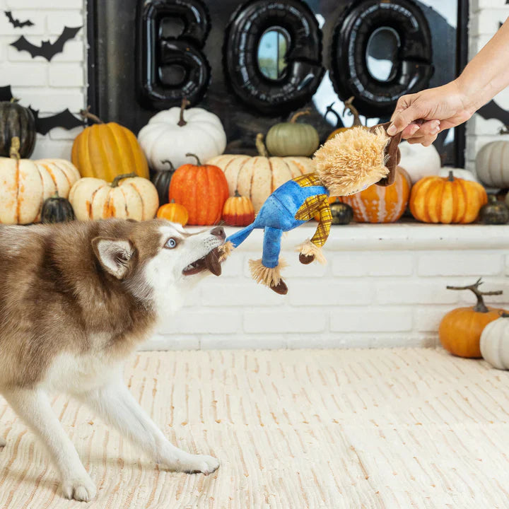 Fringe Dog Toy Halloween On My Last Straw