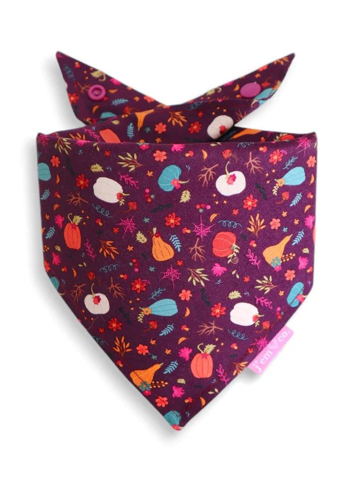 J'em & Co Bandana Squash Attack