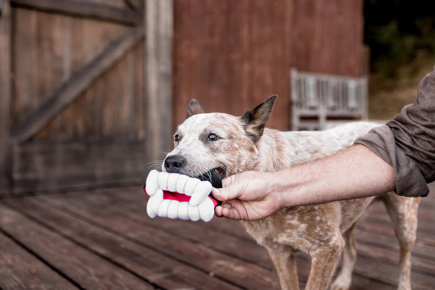 PLAY Dog Toy Halloween Howling Haunts Barky's Bite