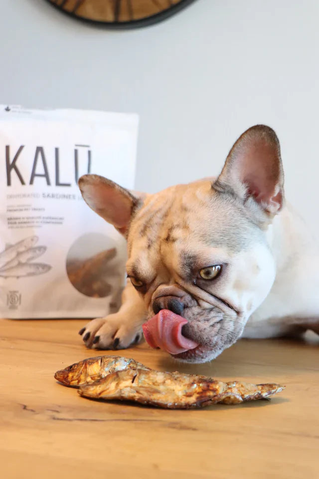 Kalu Dog Treats Dehydrated Sardines